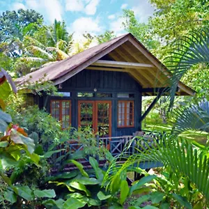 https://sunset-at-the-palms-resort.comcaribbean.com